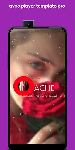 avee player template pro screenshot 5