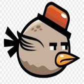 Bird Flappy icon