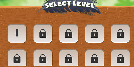 Box Bird screenshot 2