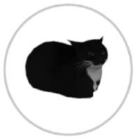 Maxwell Runner - maxwell cat