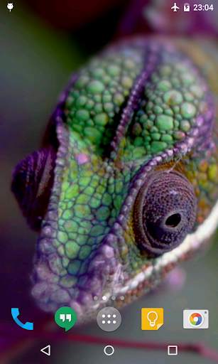 Chameleon Live Wallpaper screenshot 1