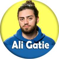 Ali Gatie songs - offline logo
