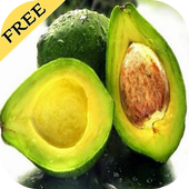 avocado processed food recipe icon