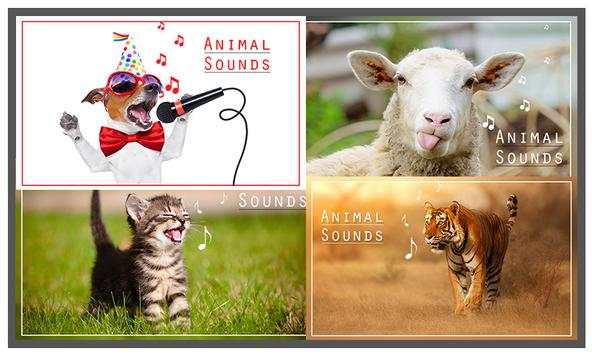 Animal Sounds screenshot 1