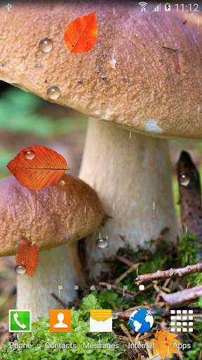 Mushrooms Live Wallpaper screenshot 3