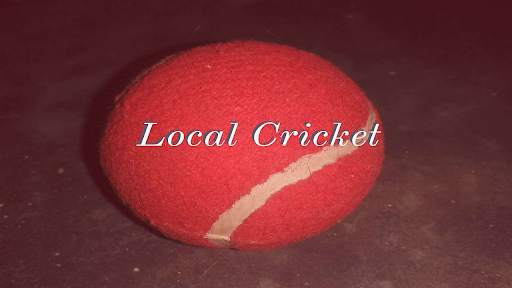 Local Cricket screenshot 1
