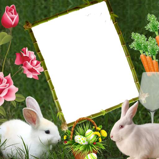 Rabbit Insta DP : Wild Insta DP 6 تصوير الشاشة