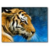 Tiger HD Wallpaper icon