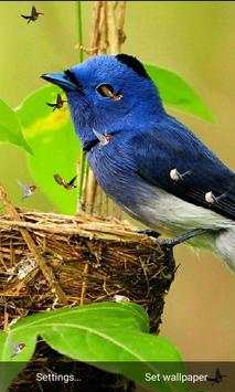 J7 HD Birds Live Wallpaper screenshot 5