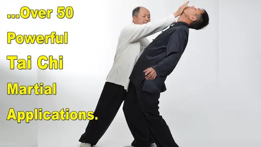 Tai Chi Martial Applications screenshot 3