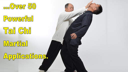 Tai Chi Martial Applications screenshot 3