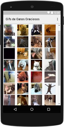 Funny Cats Gif screenshot 2