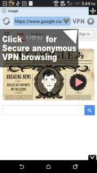 Free VPN Flash Browser Player screenshot 2