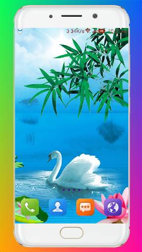 Swan Wallpaper HD screenshot 11