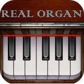 Real Organ Piano 3.0.11