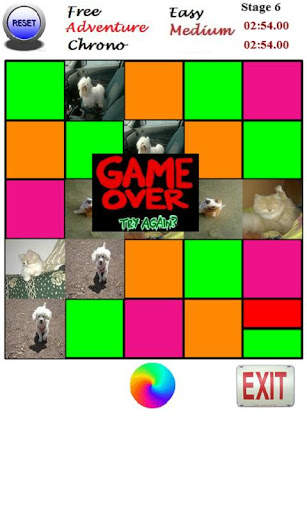 Pets- Funny Animals Cards Game screenshot 6