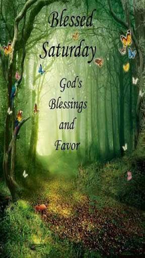 Everyday Blessing Quotes 6 تصوير الشاشة