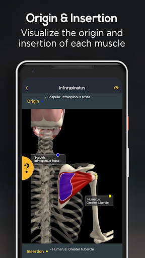 Anatomy by Muscle & Motion screenshot 6