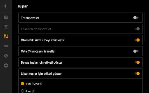 Mini Piano Lite screenshot 14