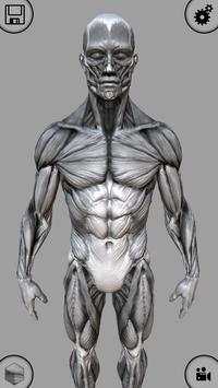 MARA3D Human Anatomy Lite screenshot 3
