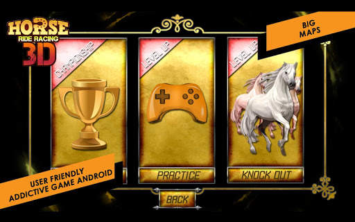Horse Ride Racing 3D screenshot 3