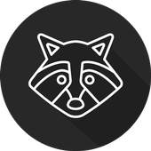 Raccoon Browser 6.0