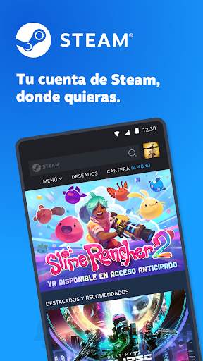 Steam screenshot 1