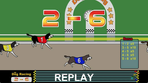 Dog Racing screenshot 18