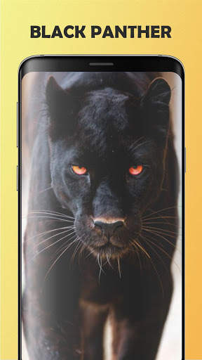 Black Panther Wallpaper screenshot 5