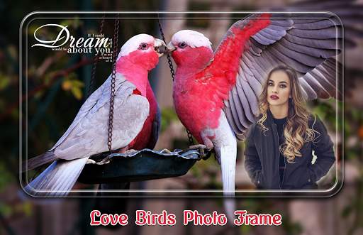 Love Birds Photo Frames скриншот 3