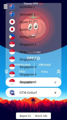 Tomato VPN Lite - Bypass Network Restricted Site screenshot 4