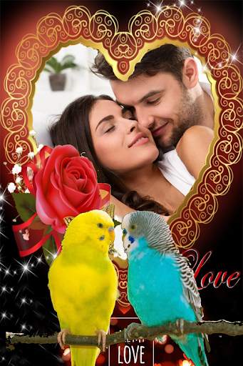 Parrot photo frames screenshot 2