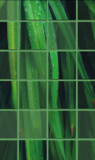 Photile Live Wallpaper screenshot 1