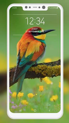 Bird Wallpaper 8 تصوير الشاشة