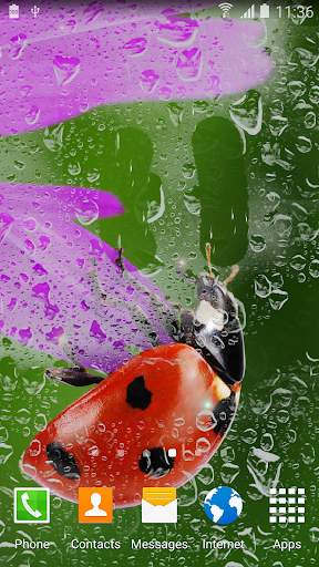 Rainy Live Wallpaper screenshot 5