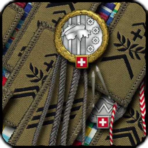 Schweizer Armee Dienstgrade 1.4.1