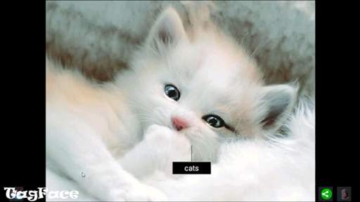 Face Tag Free screenshot 9
