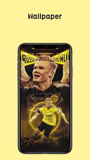 Haaland 2021 || Wallpaper, WhatsApp Sticker, Video screenshot 8