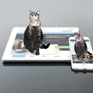 cat on screen - trying to grab your Android icons screenshot 2