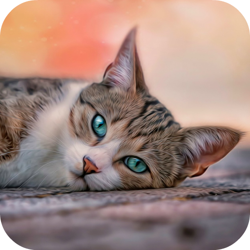 10000  Cats Wallpapers icon