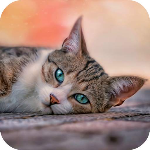 10000  Cats Wallpapers 1.3