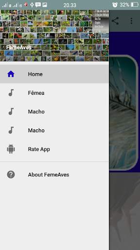 Canto Fêmea de Curio screenshot 1