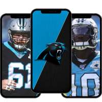 Carolina Panthers Wallpaper 4K