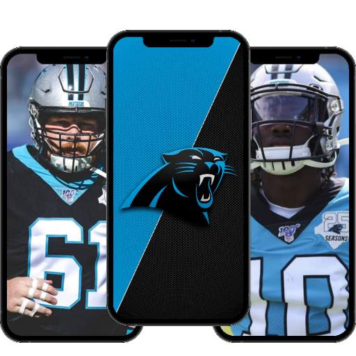 Carolina Panthers Wallpaper 4K 2