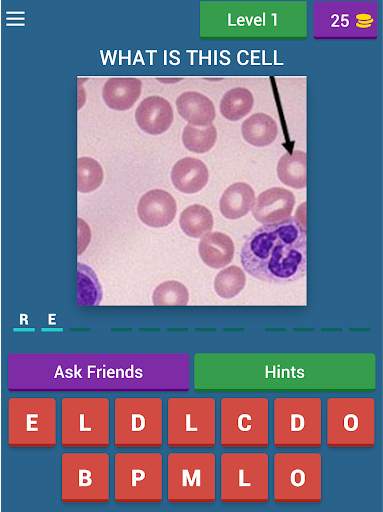 Hematology quiz App screenshot 9