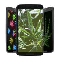Weed HD Wallpapers and Backgrounds on 9Apps