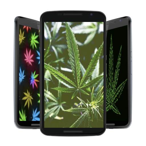 Weed HD Wallpapers and Backgrounds 2.1
