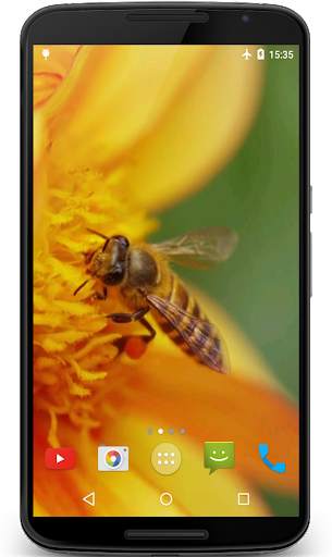 Macro Video Live Wallpaper screenshot 1