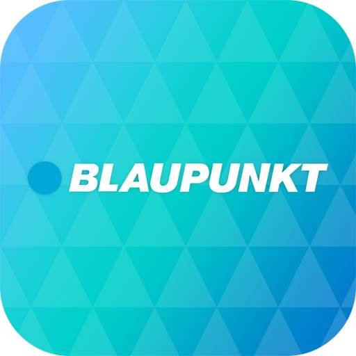 BLAUPUNKT 5.4