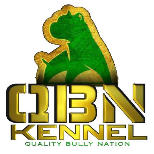 QBN App 1.0